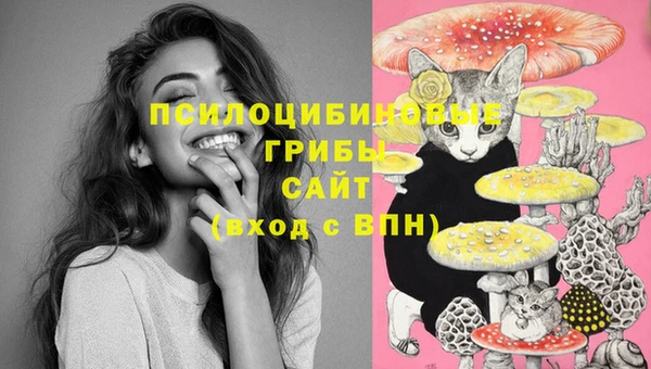 соль ск Куйбышев