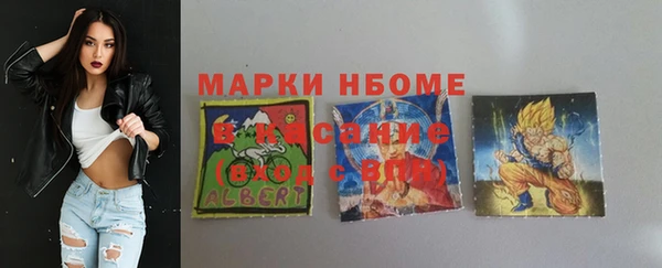 твердый Кулебаки