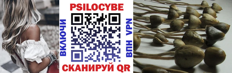 Псилоцибиновые грибы Cubensis Анадырь